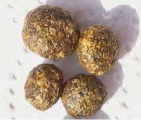 Hình 1 4 5 Dạng phân mềm của thỏ Hình 1 4 6 Dạng phân cứng của thỏ Bảng 1 4 5 5