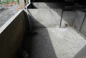 Hình 1 4 26 Tận dụng chuồng heo làm nơi dự trữ thức ăn nuôi trùn quế 2 2 Thu 18