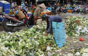 Thu gom rác thải hữu cơ Hình 1 4 34 Hình 1 4 31 Thu gom cây thanh long Hình 1 4 32 Thu 23