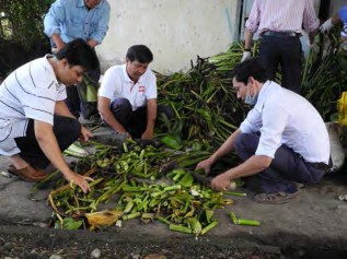 Công thức 3 70 phân lợn 30 bã mía có thể thay bằng phụ phẩm nông nghiệp khác 12