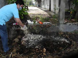 Hình 1 4 48 Trải phân lên Bước 3 Rải chất kích thích như men vi sinh có thể thay 15