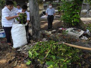 Hình 1 4 50 Rải lục bình Hình 1 4 51 Rải phân lên lục bình Hình 1 4 52 Tưới 16