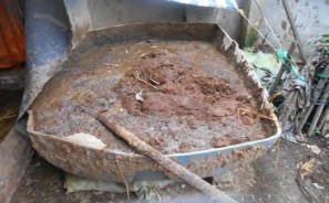 Nếu diện tích nuôi nhỏ như các mô hình nuôi trong thùng xốp khay chậu …thì 4