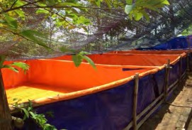 Hình 1 4 39 Bể xử lý bằng bạt nilon Hình 1 4 40 Bể xử lý bằng lá Nếu nguồn 5