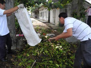 Hình 1 4 53 Rải lục bình lần 2 Hình 1 4 54 Đậy đống ủ Bước 9 Theo dõi nhiệt 1