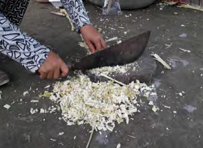 thấy năng suất trùn quế sẽ tăng khi sử dụng kết hợp ủ lục bình và phân 10