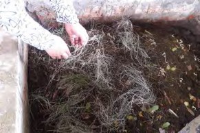 Hình 1 4 67 Rải cỏ khô Hình 1 4 68 Cho rác vào Tuy nhiên nếu số lượng rác thải 15