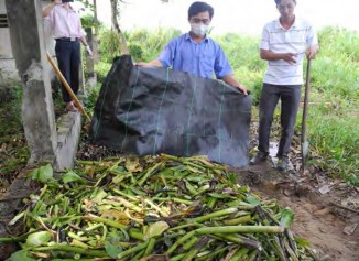 Hình 1 4 54 Đậy đống ủ Bước 9 Theo dõi nhiệt độ ẩm độ Trong thời gian ủ 2