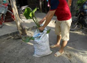 Hoặc chúng ta có thể xử lý như sau phương pháp này chưa được sử dụng nhiều 7