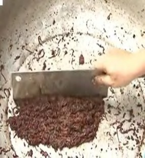 Hình 1 1 2 Băm trùn cho gà ăn Hình 1 1 3 Nấu trùn cho lợn ăn Ngoài ra trùn quế còn 2