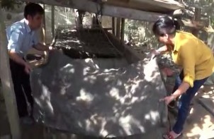 Hình 1 1 14 Không nên để ánh sáng mặt trời chiếu trực tiếp vào trùn Hình 1 1 1