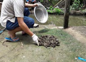 Hình 1 2 8 Trộn đều 5 mẫu đất Hình 1 2 9 Phơi khô đất Đập đất khô ra nhỏ 10