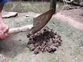 Hình 1 2 10 Đập nhỏ đất Hình 1 2 11 Cân đất Bước 3 Tiến hành đo độ pH Cho 11