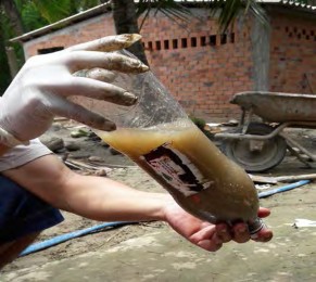 Hình 1 2 13 Đổ nước vào chai Hình 1 2 14 Lắc đều Để lắng khoảng 30 phút Hình 15