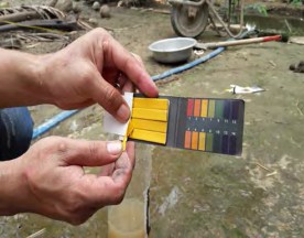 Hình 1 2 17 Xé giấy quỳ Hình 1 2 18 Nhúng giấy quỳ vào nước Bước 4 Đọc kết 18