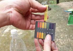 Đất có độ pH từ 3 0 5 0 là đất có tính axit rất cao đất rất chua Đất có 20