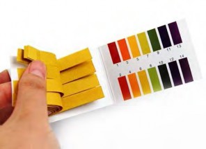 Bước 1 Chuẩn bị dụng cụ Dụng cụ dùng để đo độ pH của đất bao gồm 5