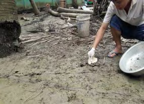 Hình 1 2 6 Các vị trí đất cần lấy Hình 1 2 7 Lấy mẫu đất Trộn đều 5 mẫu 8