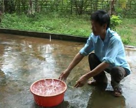 Nếu chúng ta sử dụng nguồn nước là nước mưa Hình 1 2 34 thì nguồn nước này 10