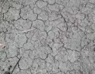 Hình 1 2 26 Đất sét Hình 1 2 27 Đất thịt Hình 1 2 28 Đất cát Để xác định 4