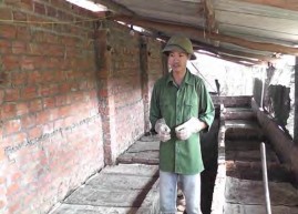 Hình 1 2 29 Trại trùn quế được đặt dưới tán cây cao su Ngoài ra phải đảm 7