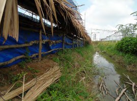 Ngoài ra phải đảm bảo chuồng nuôi trùn không bị ngập úng khu vực xung quanh 8