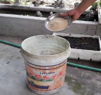 Hình 1 3 19 Cân chế phẩm sinh học Hình 1 3 20 Pha chế phẩm vào nước 18