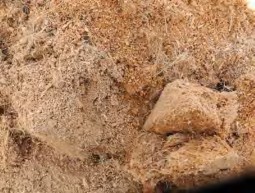 Hình 1 3 6 Xơ dừa Hình 1 3 7 Mùn cưa Giấy vụn Hình 1 3 8 hoặc bìa carton cũ Hình 1 6