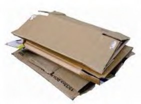 Hình 1 3 8 Giấy vụn Hình 1 3 9 Bìa carton Lưu ý khi chọn lá cây thì người nuôi 9