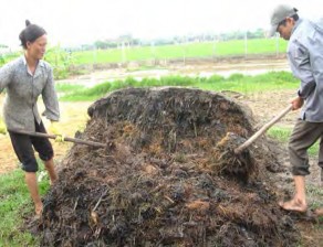 Hình 1 3 36 Đảo đóng ủ Hình 1 3 37 Đậy đóng ủ Việc ủ xem như hoàn thành khi 16