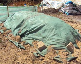 Hình 1 3 36 Đảo đóng ủ Hình 1 3 37 Đậy đóng ủ Việc ủ xem như hoàn thành khi 17