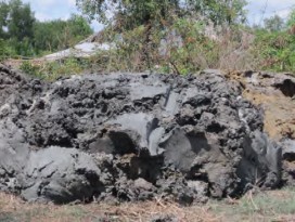 3 2 3 Chuẩn bị nguyên liệu 70 kg phân bò 30 kg rơm rạ 2 kg phân lân Ngoài ra khi ủ 19