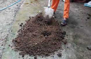 Bước 1 Rải một lớp phân bò dày 10 15 cm ra nền ủ Hình 1 3 23 Hình 1 3 23 Rải 3