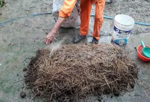 Hình 1 3 25 Rắc vôi Hình 1 3 26 Tưới nước Lưu ý Nếu nguyên liệu ủ khô nhiều 5