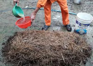 Hình 1 3 26 Tưới nước Lưu ý Nếu nguyên liệu ủ khô nhiều thì sau mỗi lớp ủ 6