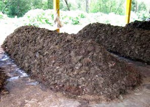 Hình 1 3 41 Xới đảo đống ủ Bước 3 Để 1 2 ngày cho đống ủ bay bớt khí 2