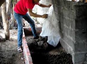 Hình 1 3 43 Cho chất nền vào nơi nuôi Chất nền sau khi cho vào luống trùn sẽ 3