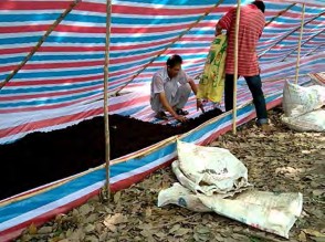 Hình 1 3 43 Cho chất nền vào nơi nuôi Chất nền sau khi cho vào luống trùn sẽ 4