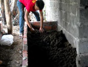 Hình 1 3 43 Cho chất nền vào nơi nuôi Chất nền sau khi cho vào luống trùn sẽ 5