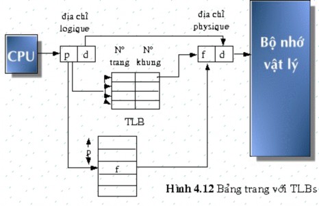 Tổ chức bảng trang Mỗi hệ điều hành có một phương pháp riêng để tổ chức 8