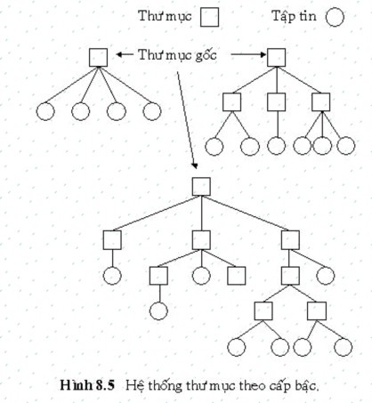 ĐƯỜNG DẪN Khi một hệ thống tập tin được tổ chức thành một cây thư mục 6