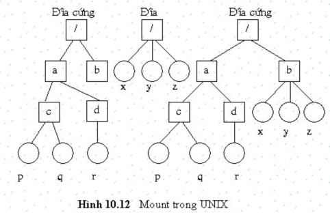 Một đặc tính thú vị khác của hệ thống tập tin của UNIX là khóa locking Trong 5