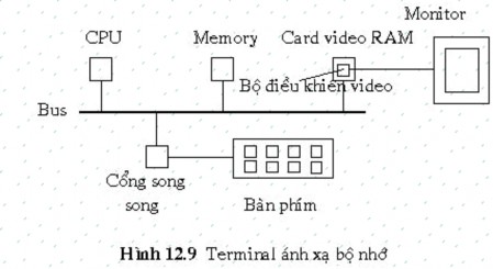 Trên card video RAM có một chip gọi là bộ điều khiển video Chip này sẽ lấy 4