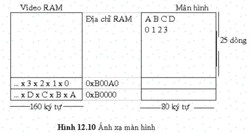 Khi CPU ghi một ký tự vào video RAM nó xuất hiện trên màn hình theo mỗi lần 5
