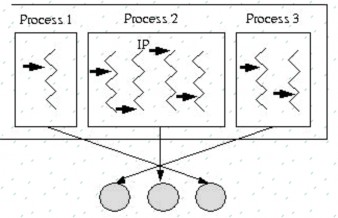Các tiểu trình trong cùng một tiểu trình Phân bổ thông tin lưu trữ Cấu trúc mô 5
