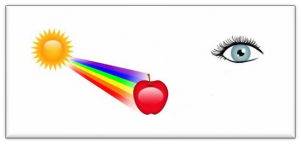 → Vậy các em hãy thảo luận và cho biết Vật màu trắng và màu đen sẽ tán xạ 3