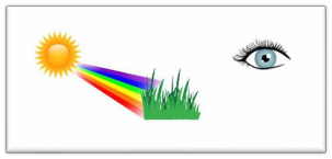 → Vậy các em hãy thảo luận và cho biết Vật màu trắng và màu đen sẽ tán xạ 4