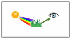 Vẽ đường đi của tia sáng từ vật đến mắt và chú thích màu sắc tia sáng 19