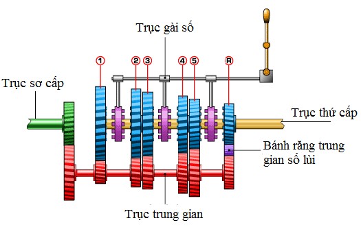 Hình 2 12 Điều khiển cần số hộp số cơ khí Một số xe ô tô có ly hợp số 1