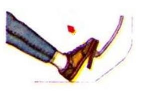 Hình 2 16 Điều khiển ga để giảm tốc độ Điều khiển ga để duy trì tốc 5